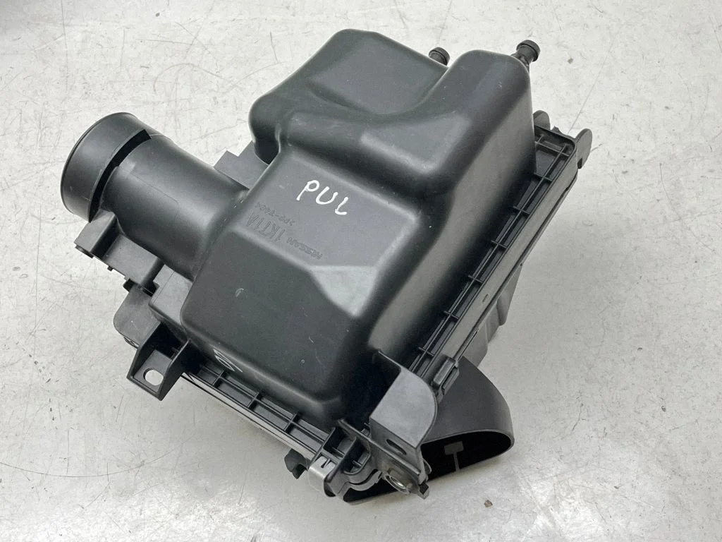 Õhufiltri korpus 165003ZU0A