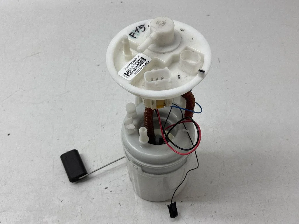 In-tank fuel pump 4826897