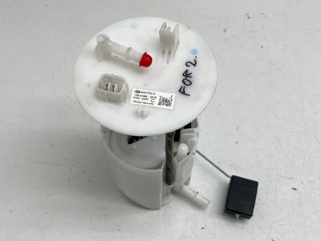 In-tank fuel pump 1700D19M0