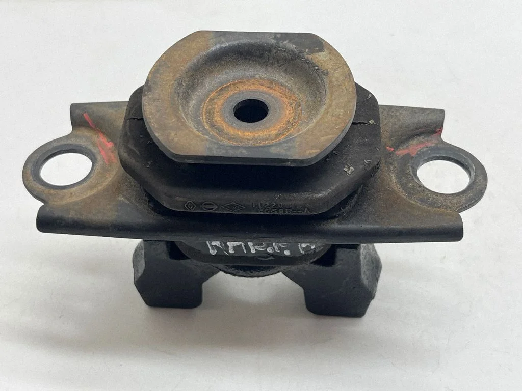 Dzinēja spilvens – Renault Kadjar (2015-)