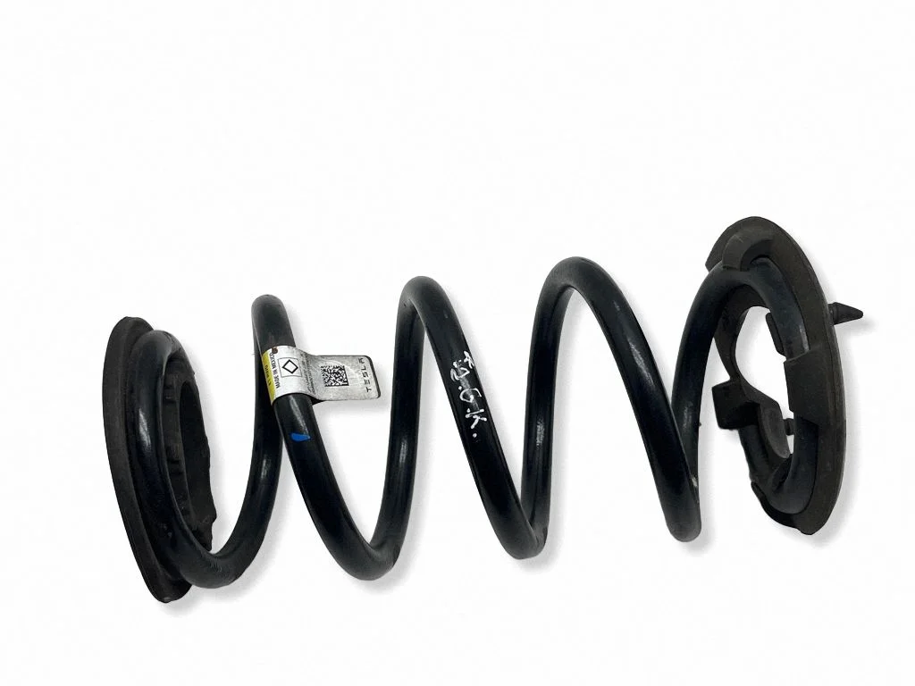 Rear coil spring 104447200H