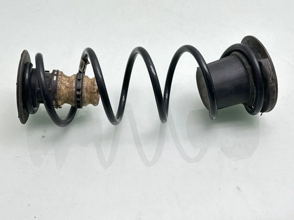 Rear coil spring