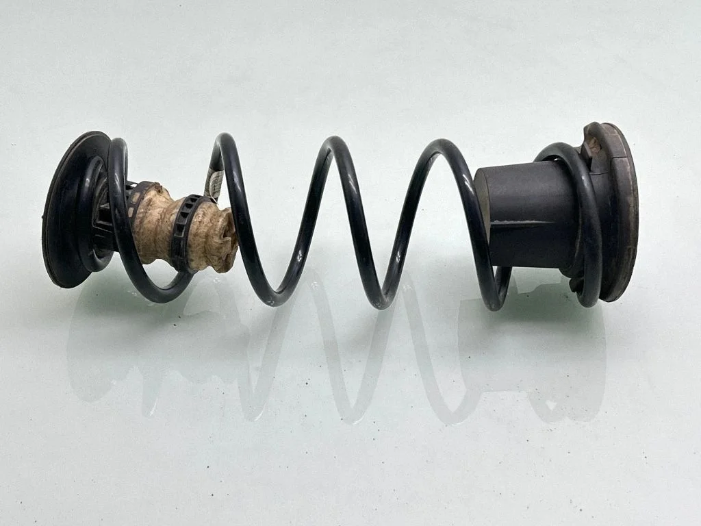 Rear coil spring
