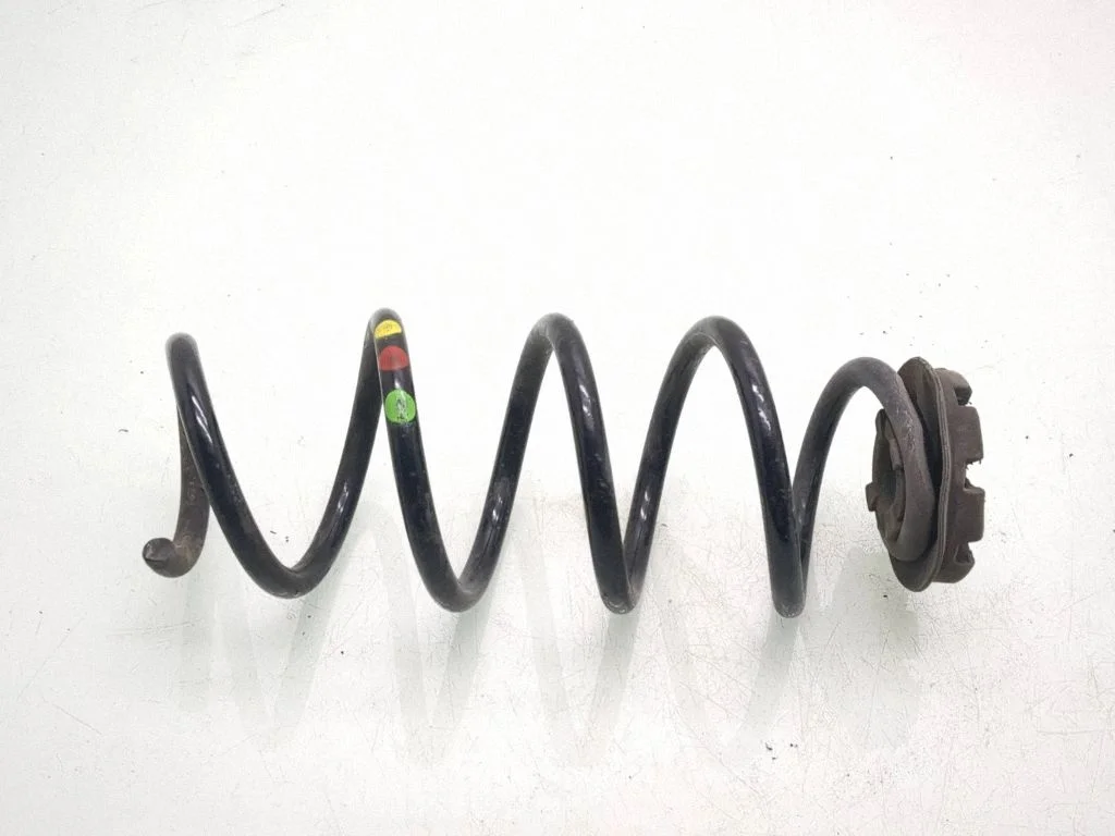 Rear coil spring