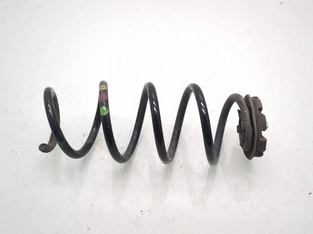 Rear coil spring