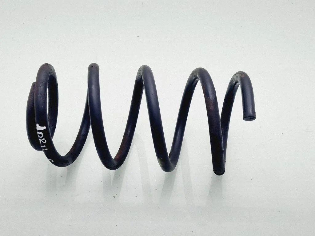 Rear coil spring