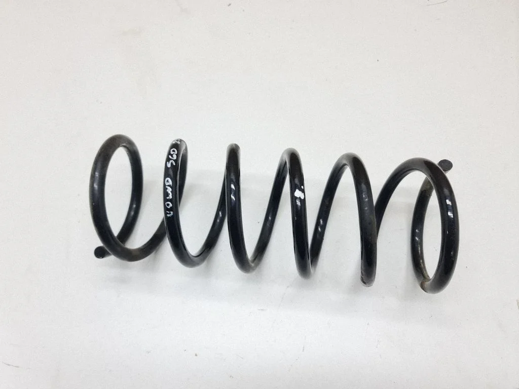 Rear coil spring