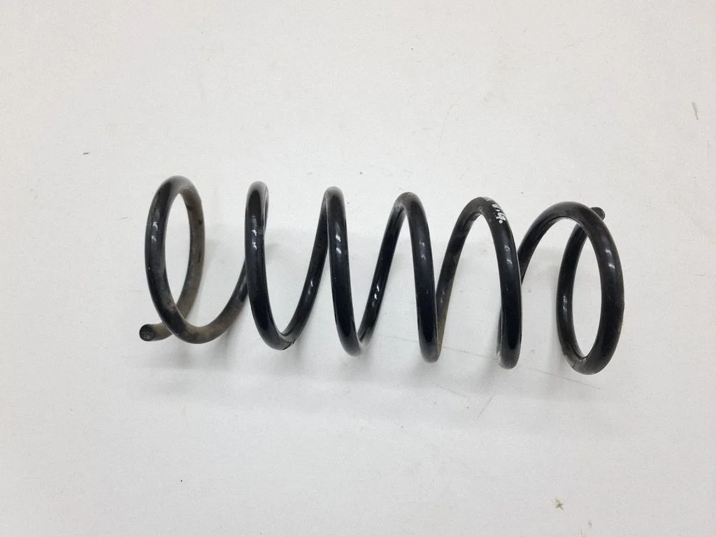 Rear coil spring