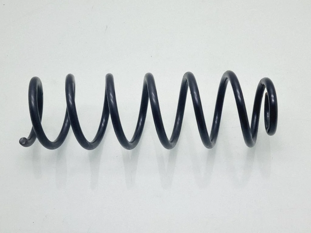 Rear coil spring