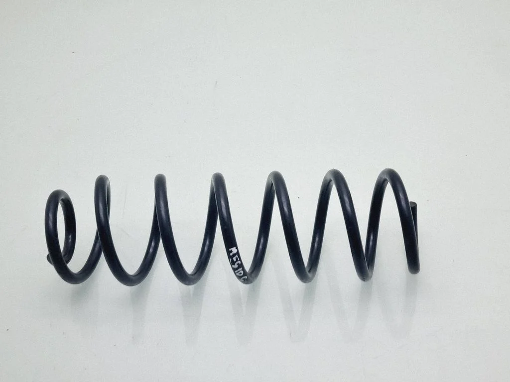 Rear coil spring