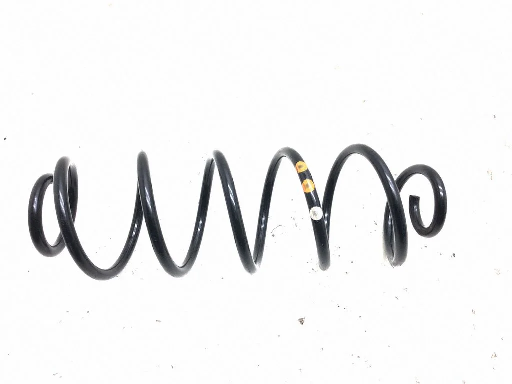 Rear coil spring