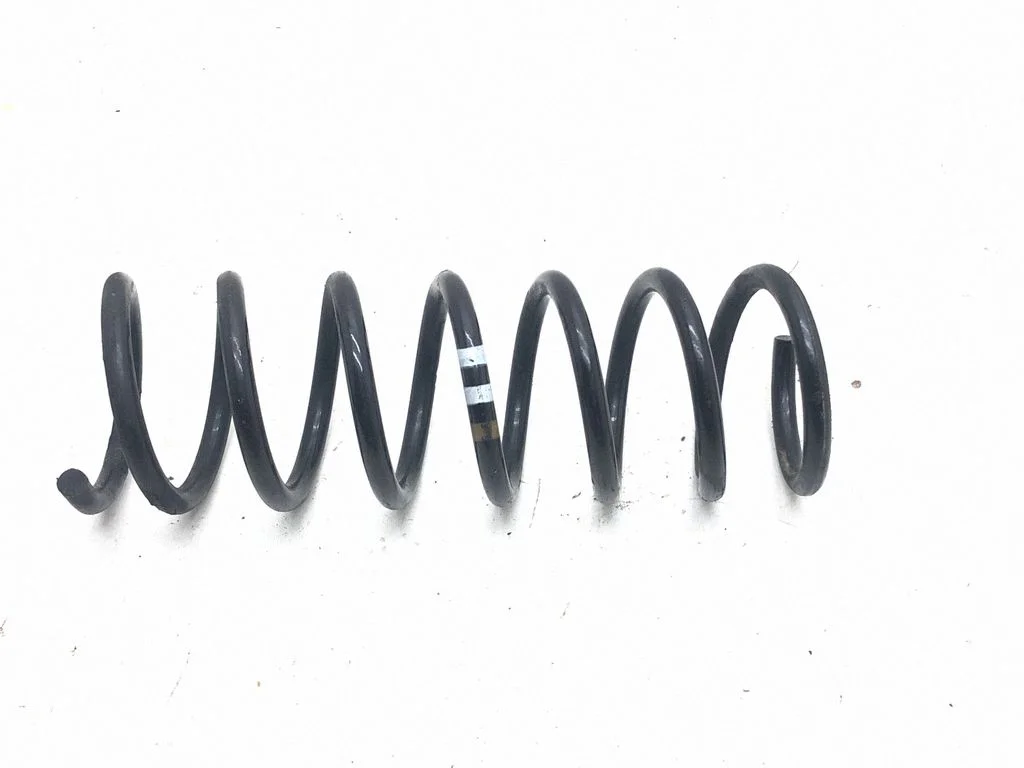 Rear coil spring