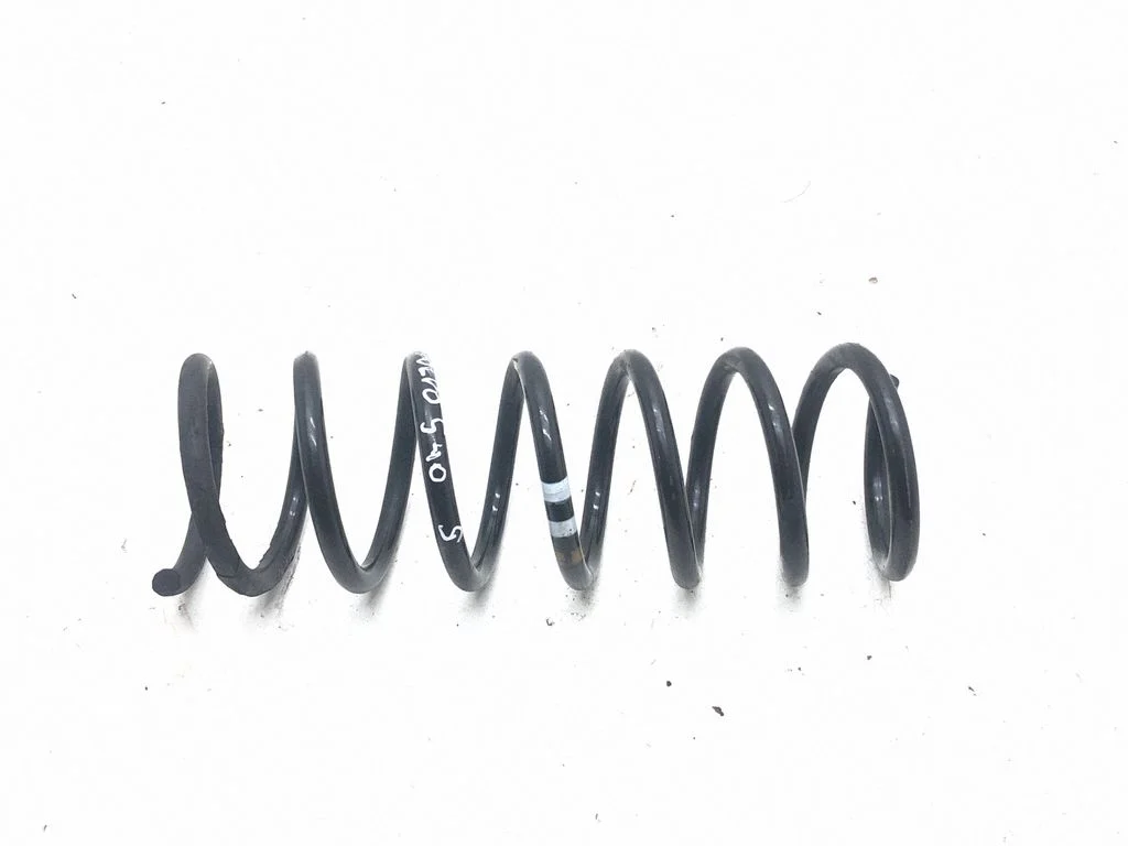 Rear coil spring