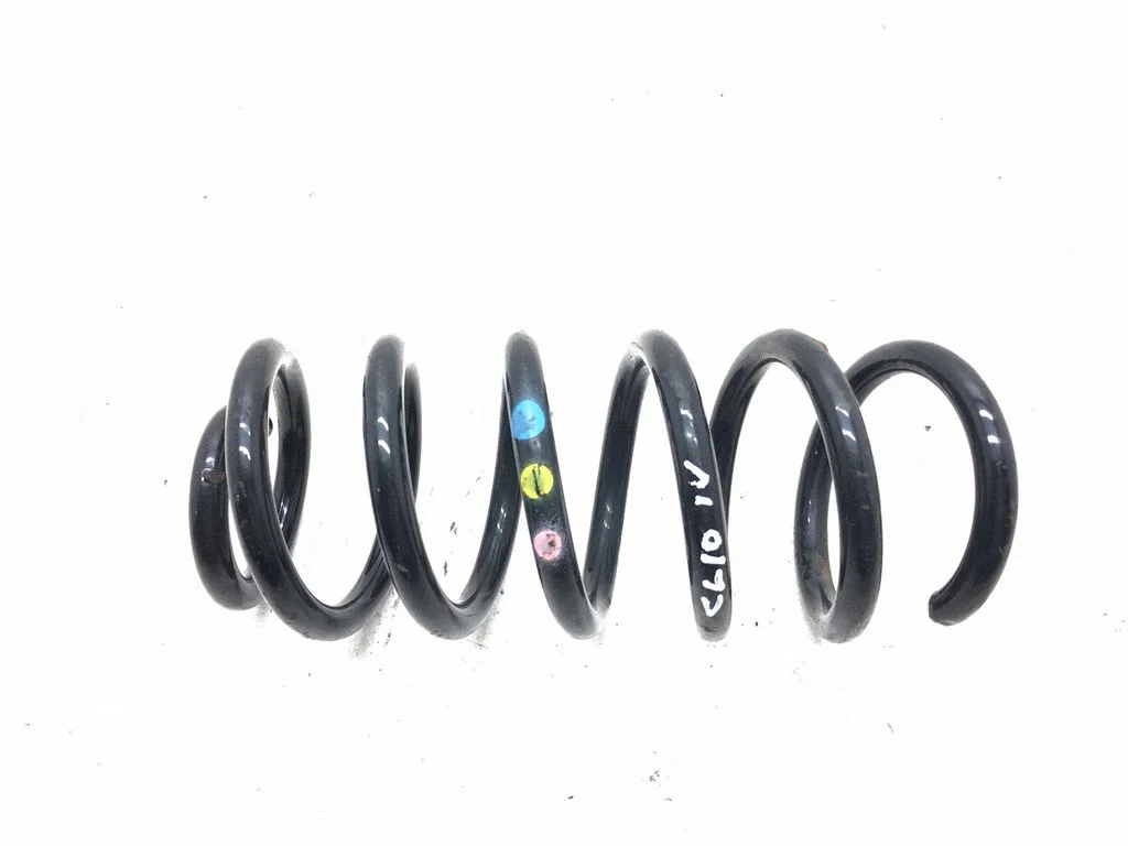 Rear coil spring