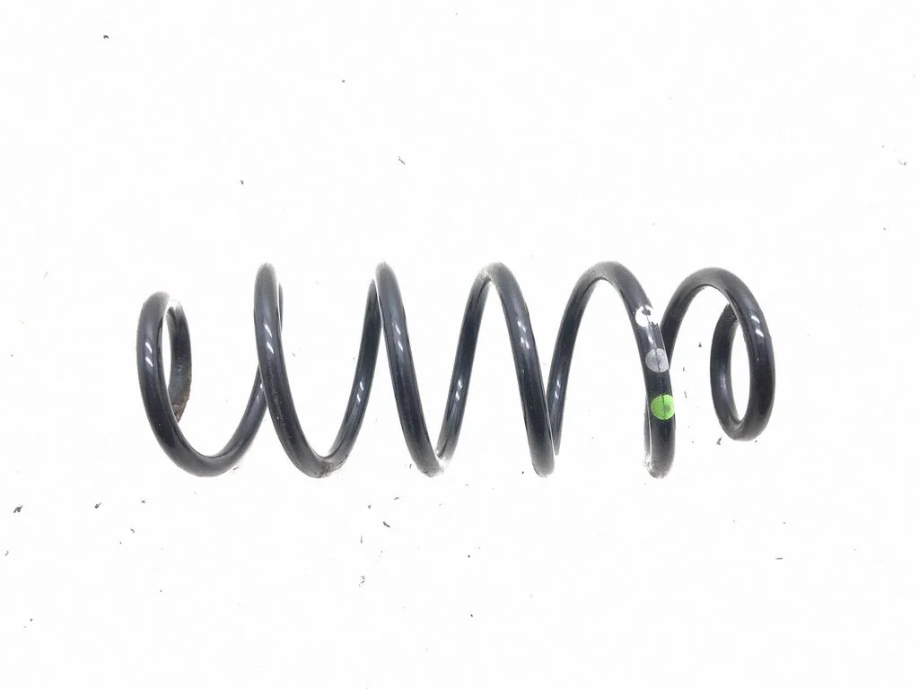 Rear coil spring