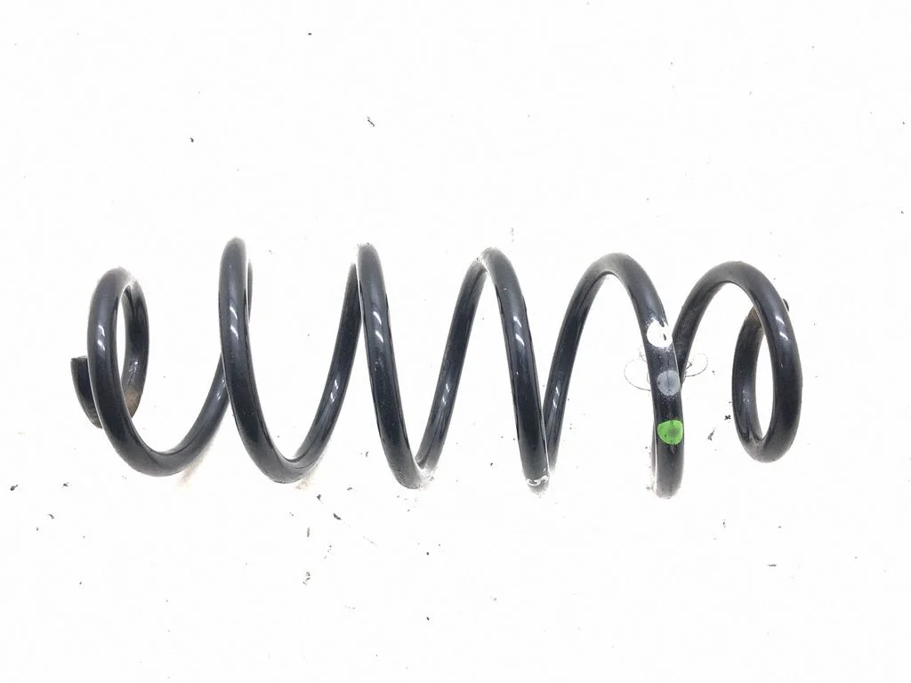 Rear coil spring