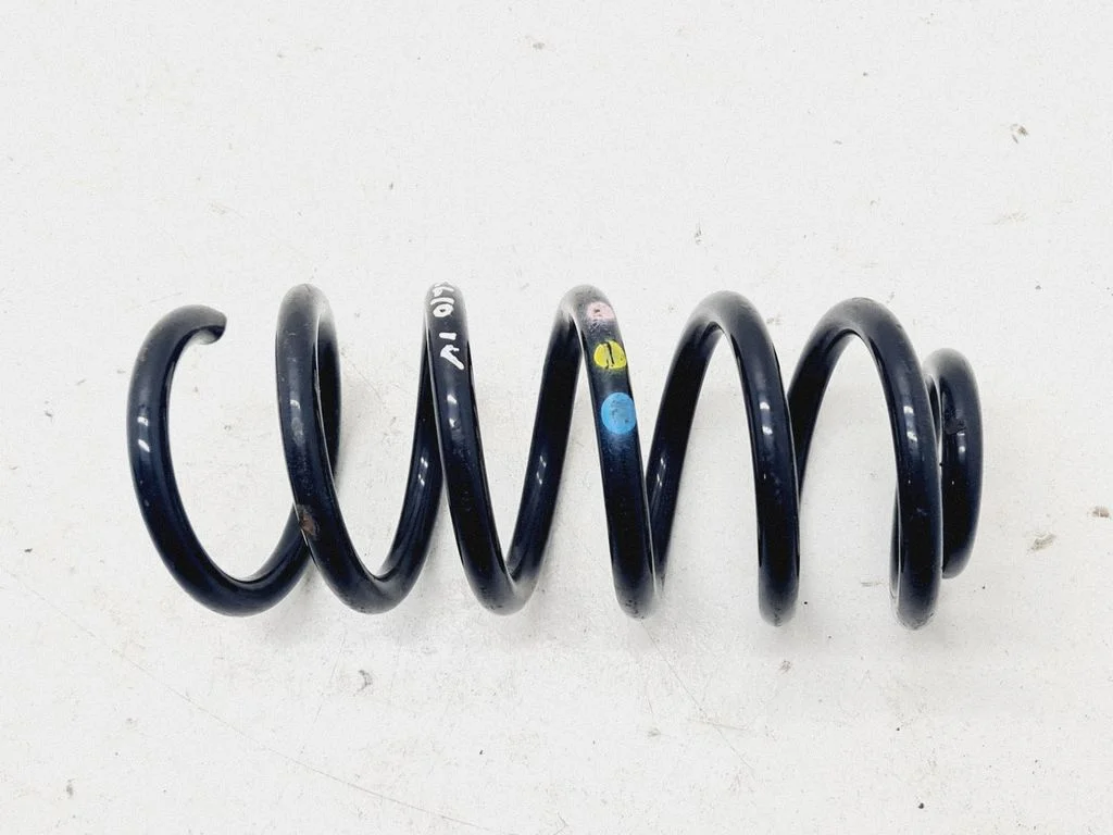 Rear coil spring
