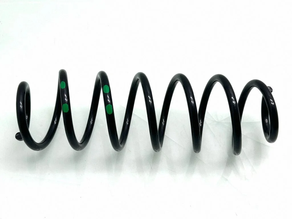 Rear coil spring
