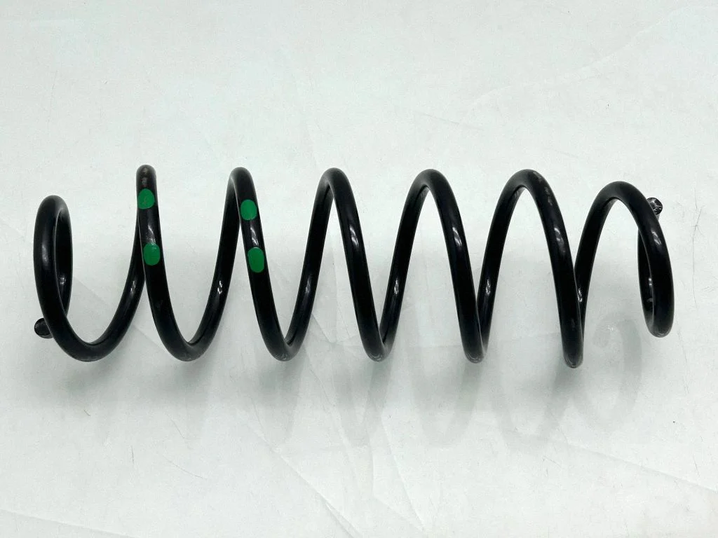 Rear coil spring