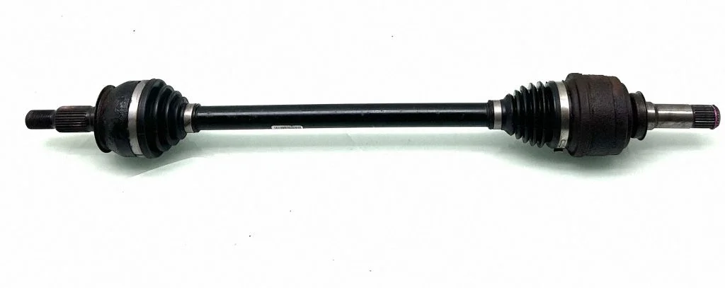Aizmugurējā pusass 22813174