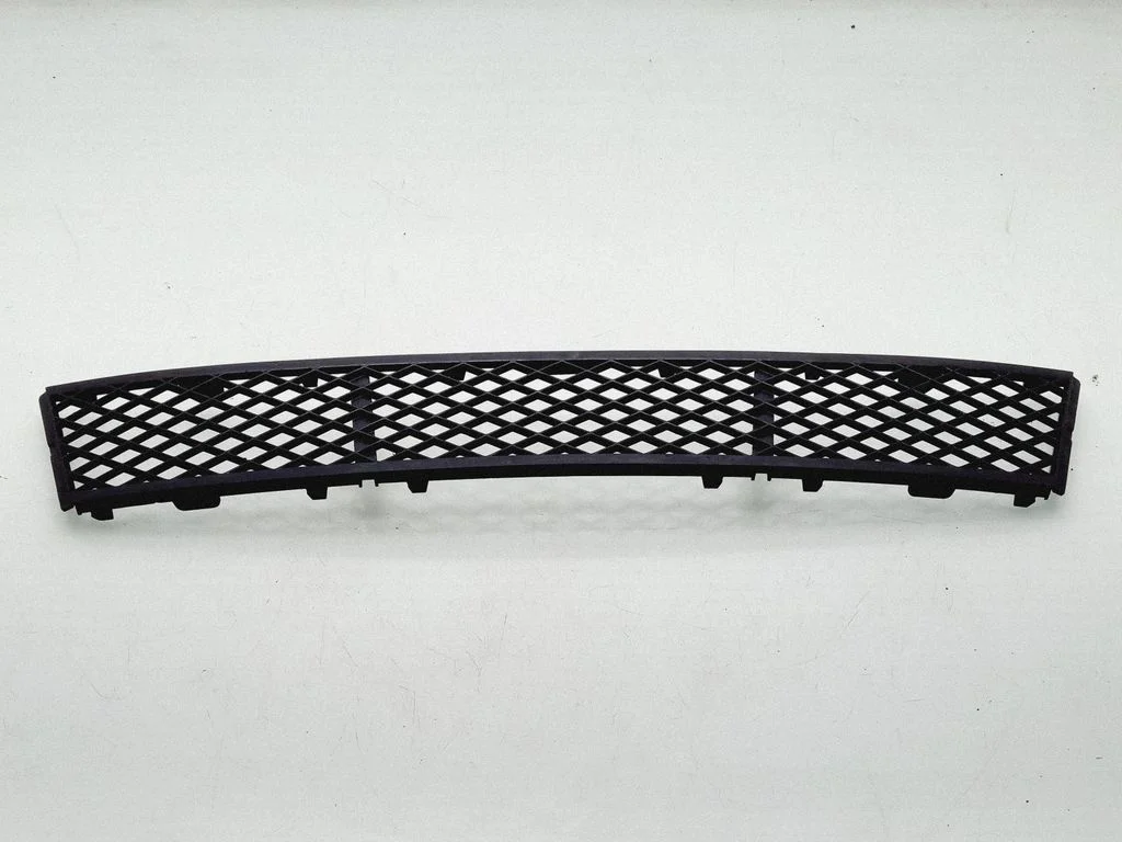 Front bumper lower grill 51117285950