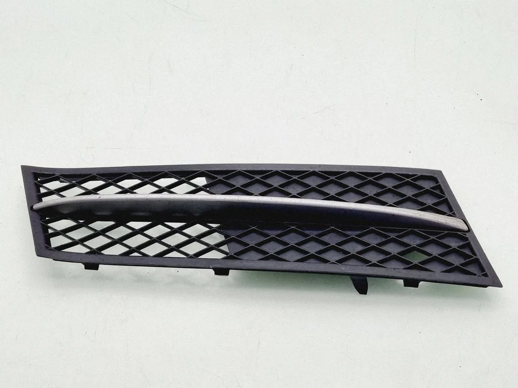 Front bumper lower grill 51117200700