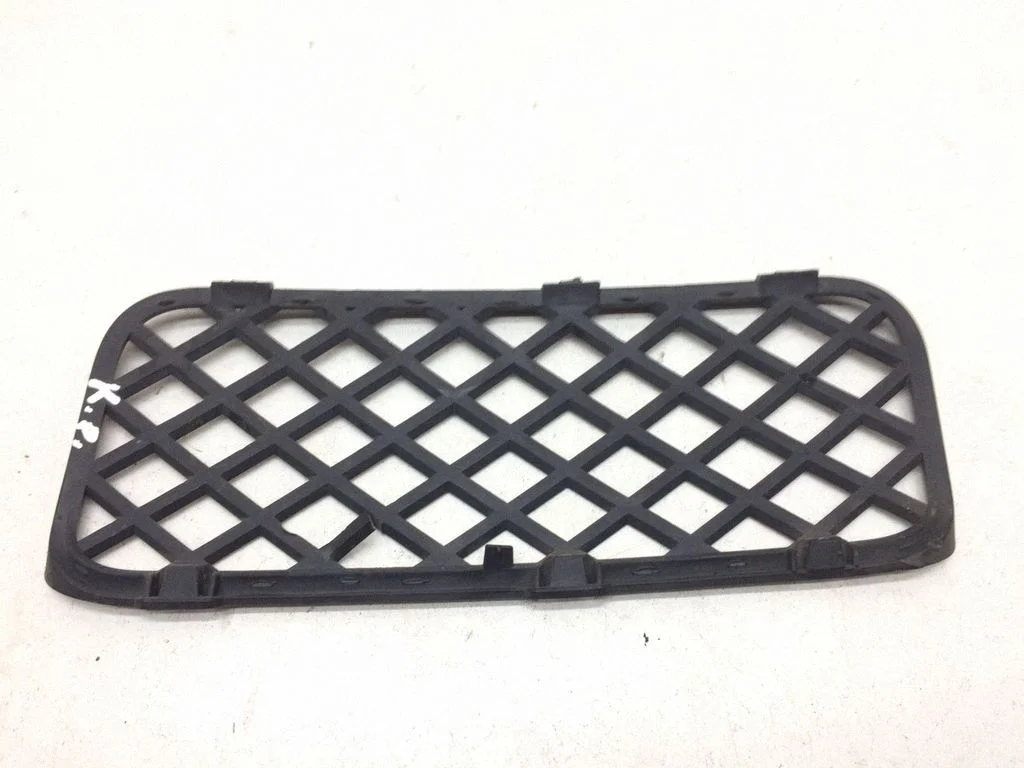 Front bumper lower grill 7L6853676