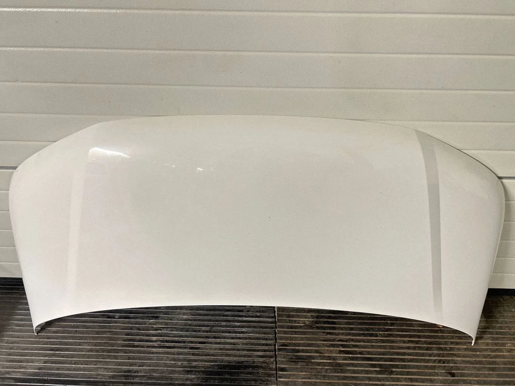 Engine bonnet/hood