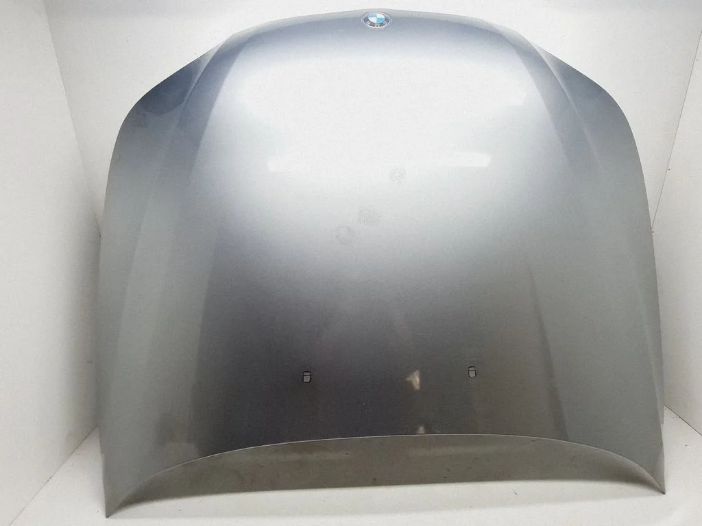 Engine bonnet/hood
