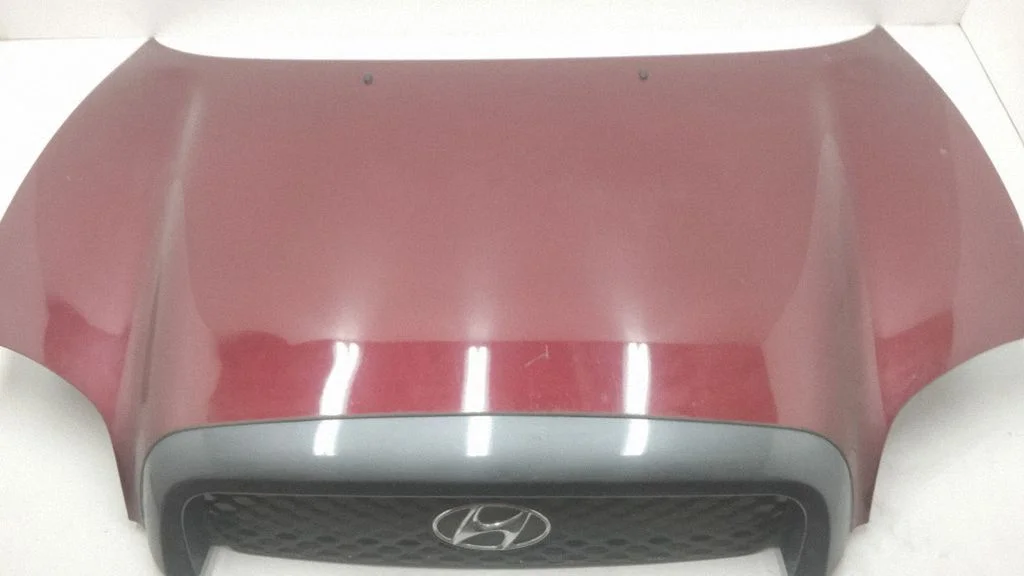 Engine bonnet/hood 6640026023
