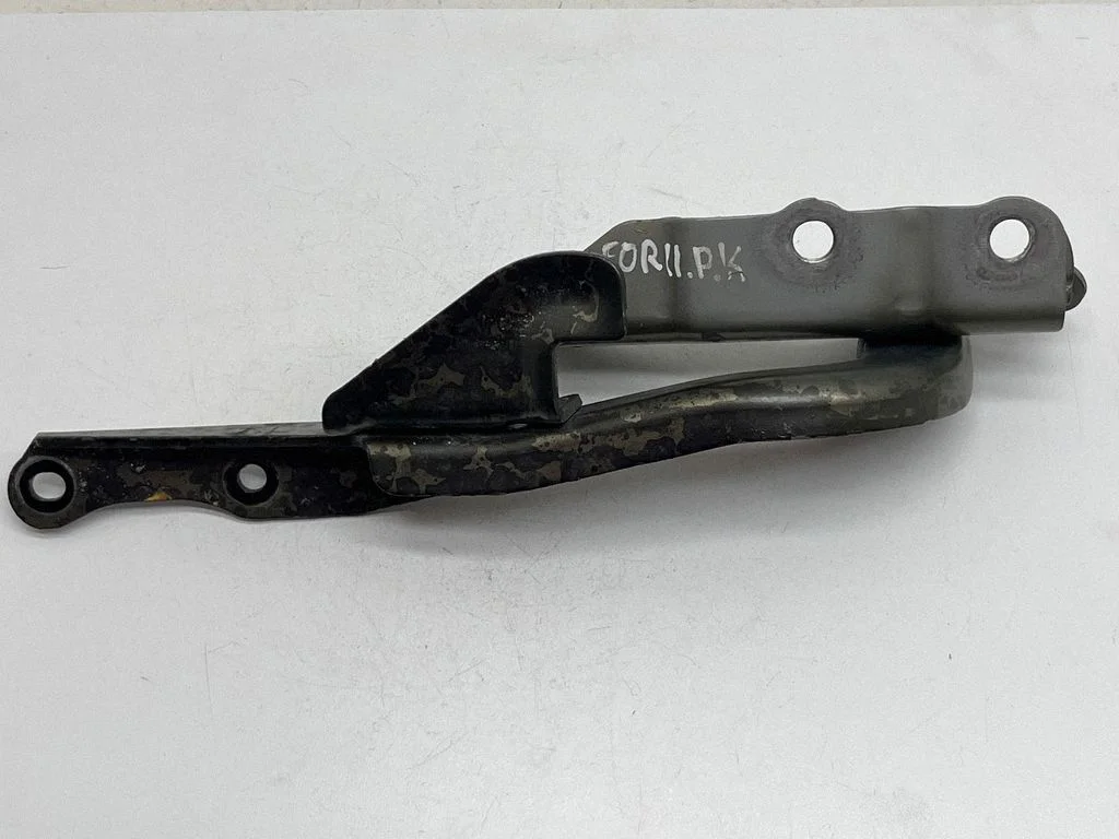 Engine bonnet/hood hinges – front left