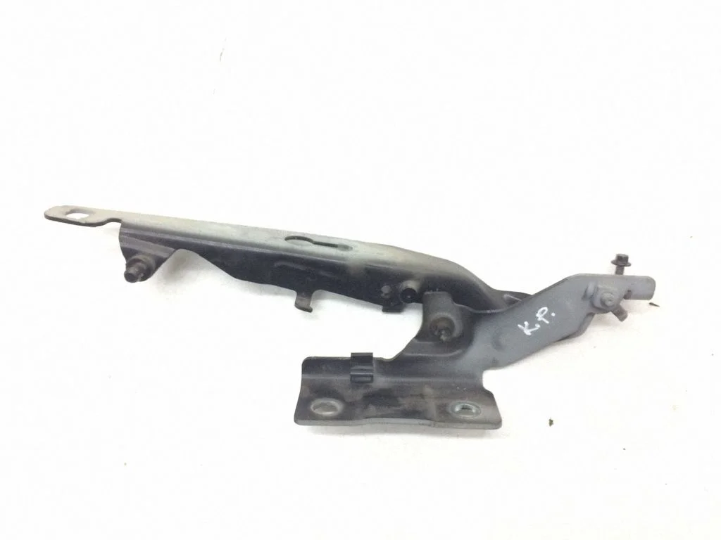 Engine bonnet/hood hinges 30799178