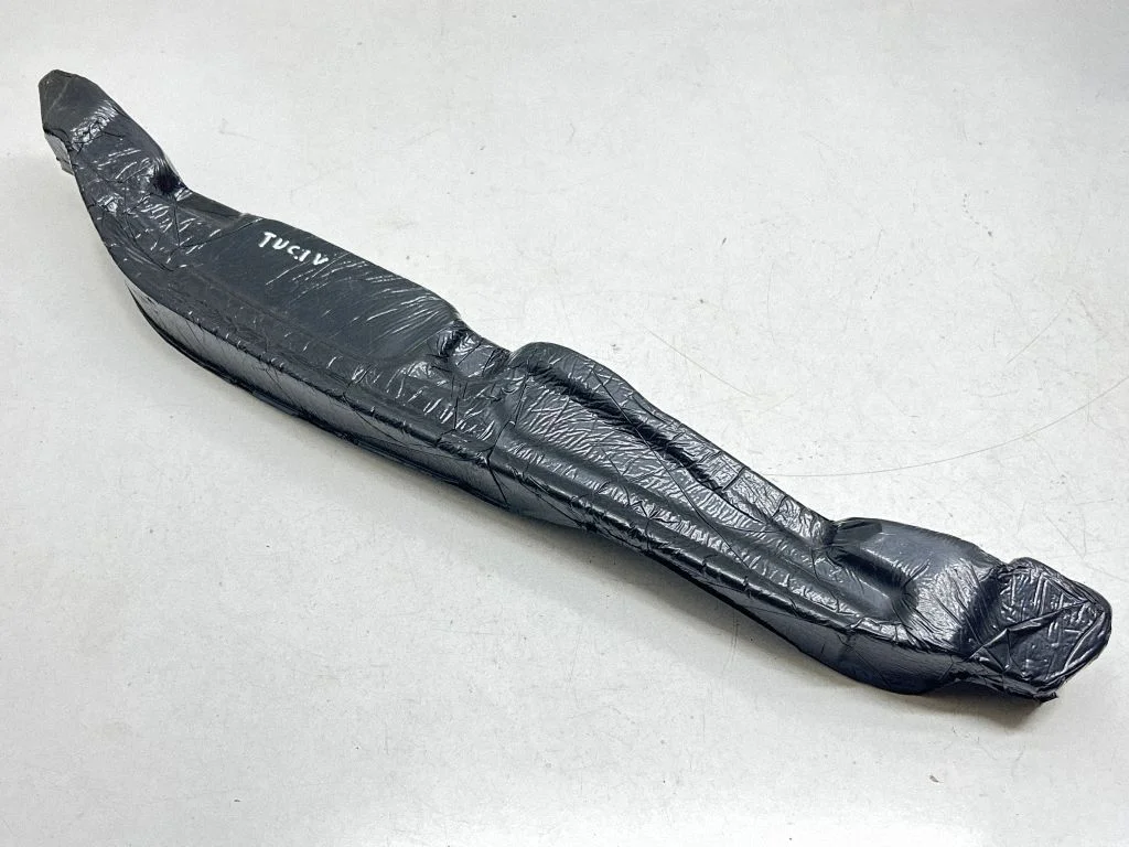 Fender foam support/seal – front left