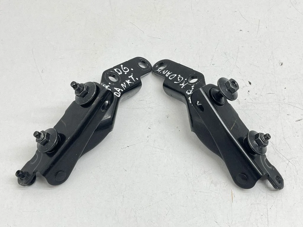 Tailgate/trunk/boot hinge
