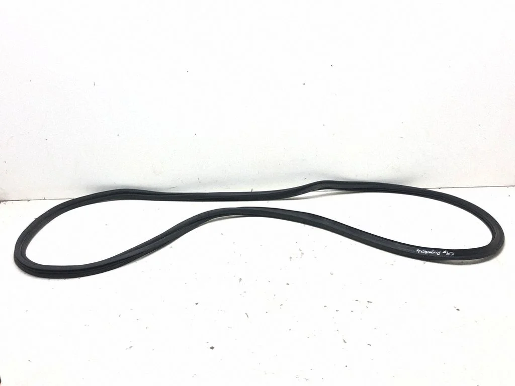 Loading door rubber seal (on body)