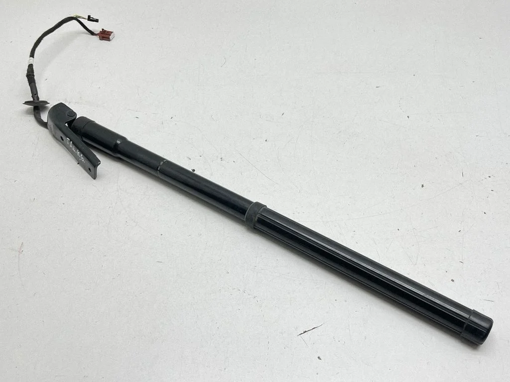 Tailgate/trunk strut/damper 904524541R