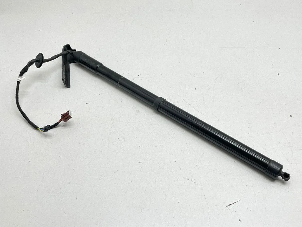 Tailgate/trunk strut/damper 904524541R