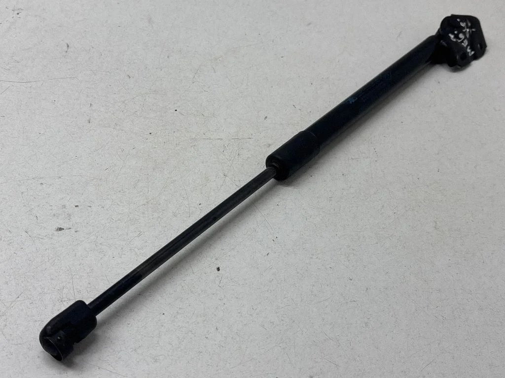 Tailgate/trunk strut/damper 020600F30600N