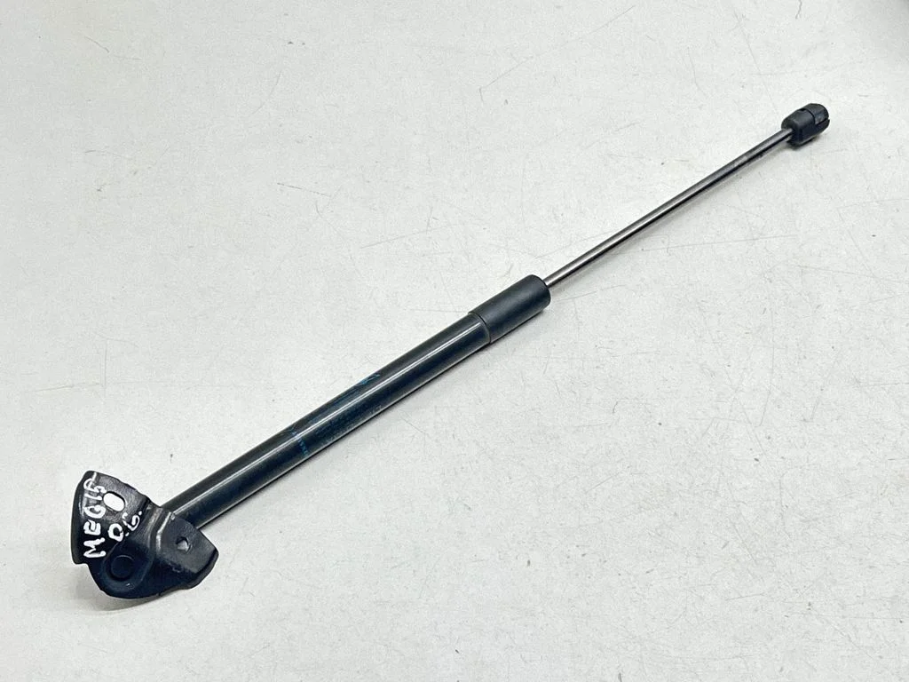 Tailgate/trunk strut/damper 844300009R