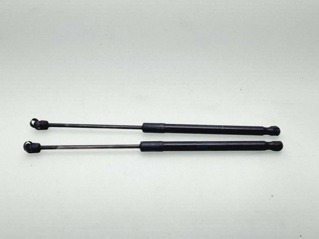 Tailgate/trunk strut/damper 844300009R