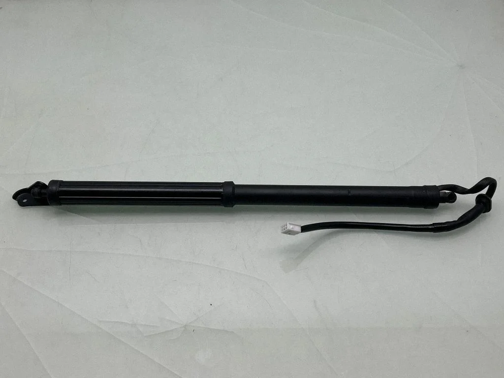 Tailgate/trunk strut/damper 6891042060