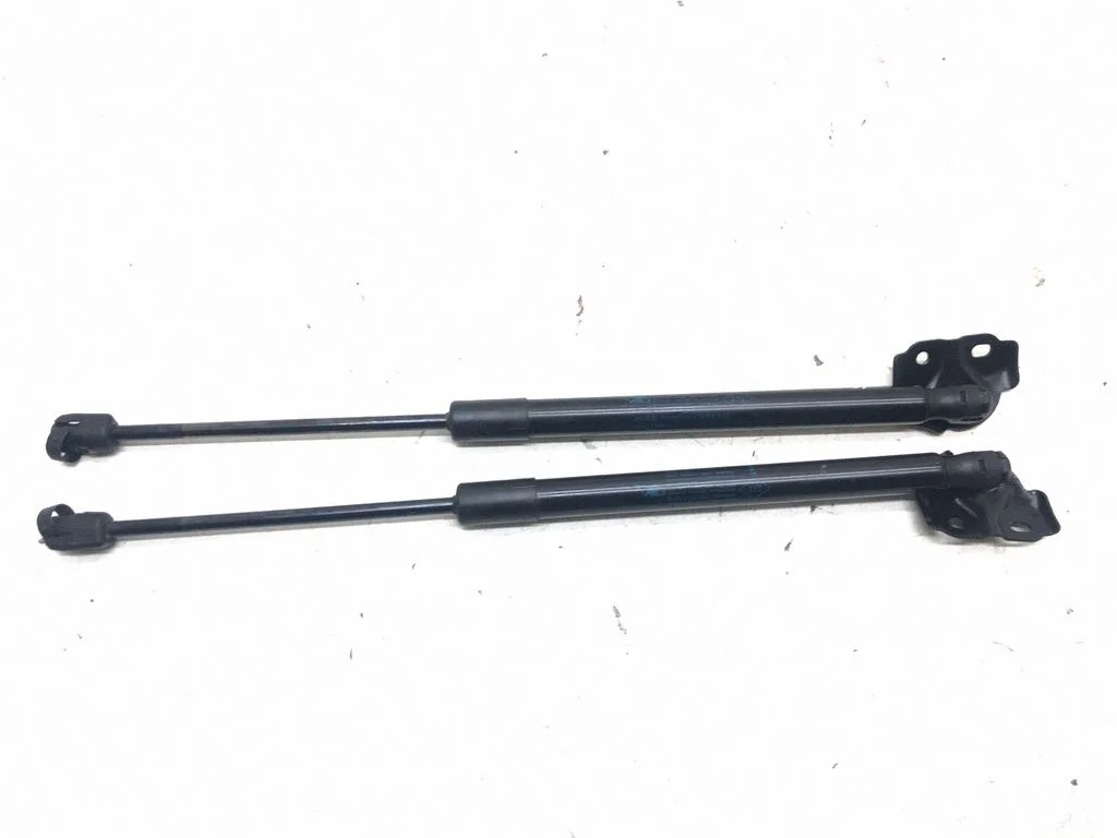 Tailgate/trunk strut/damper 904510001R