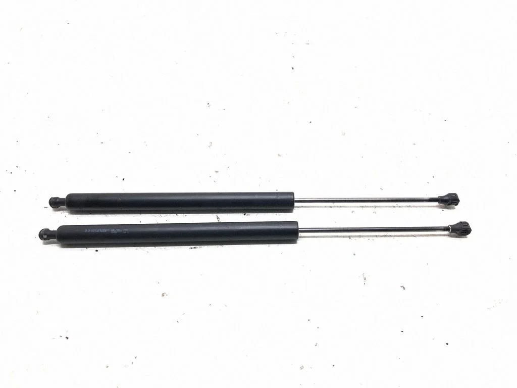 Tailgate/trunk strut/damper 700021036500