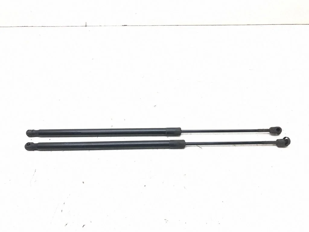 Tagaluugi gaasiamortisaator 7211289