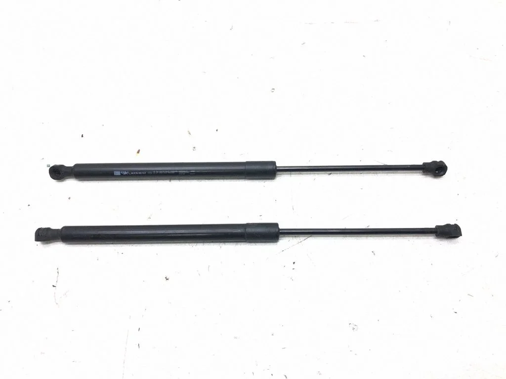 Tailgate/trunk strut/damper 844308661R