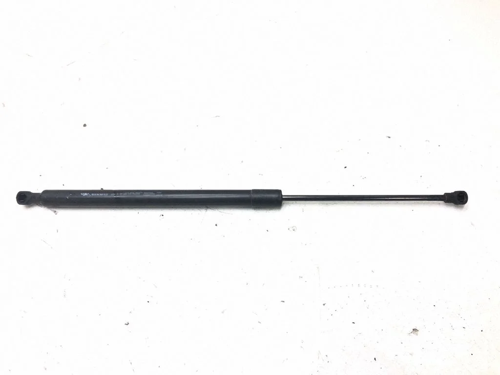 Tailgate/trunk strut/damper 904500004R