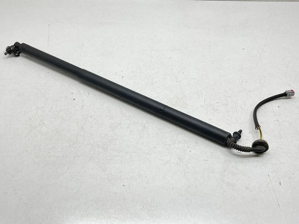 Tailgate/trunk strut/damper – Chrysler Pacifica (2017-)