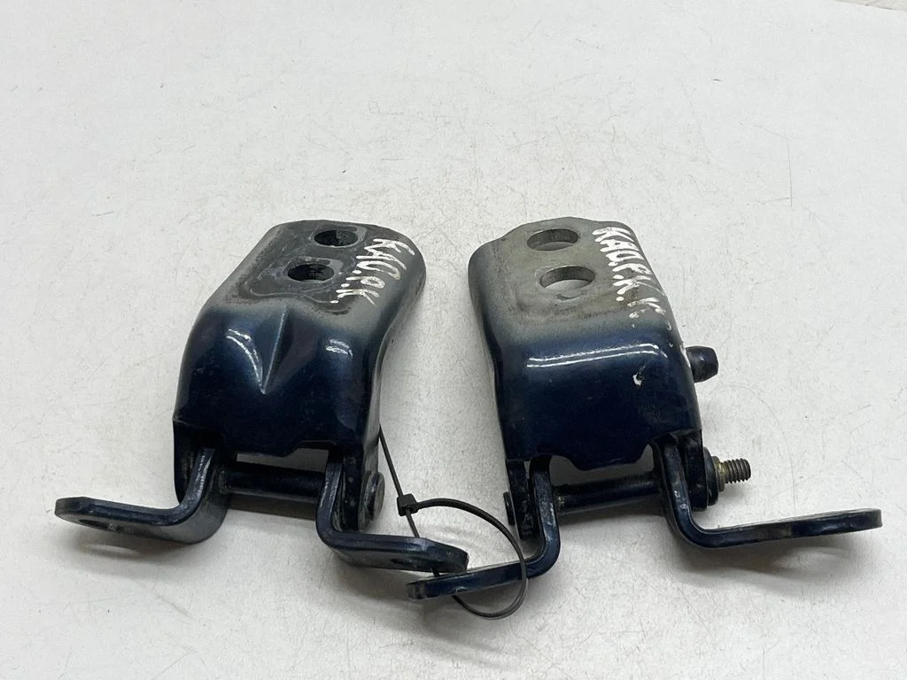 Front door hinges set 804008942R