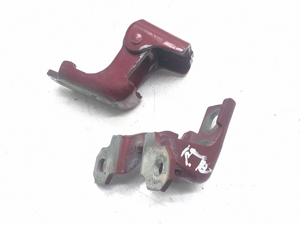 Front door hinges set 804200003RL