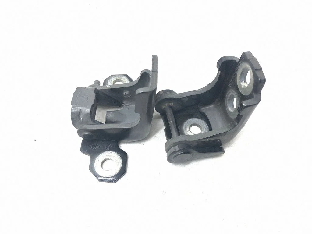 Front door hinges set 804200003RK